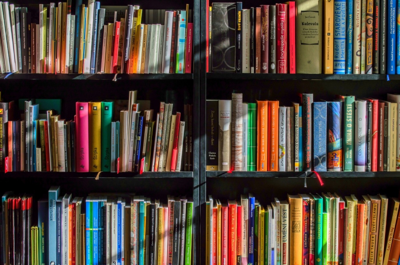 ecommerce-CUERS-min_books_bookstore_book_reading_shop_writer_sale_books_read-822866